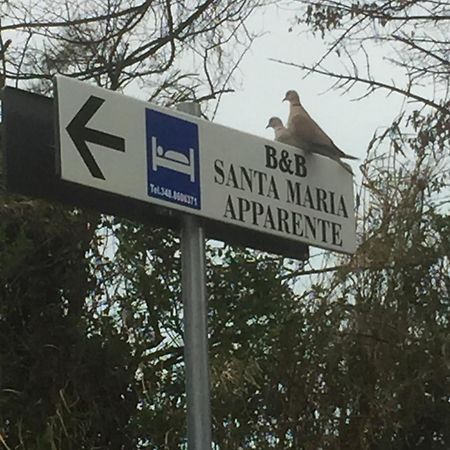 Monolocali B&B Santa Maria Apparente Civitanova Marche Luaran gambar