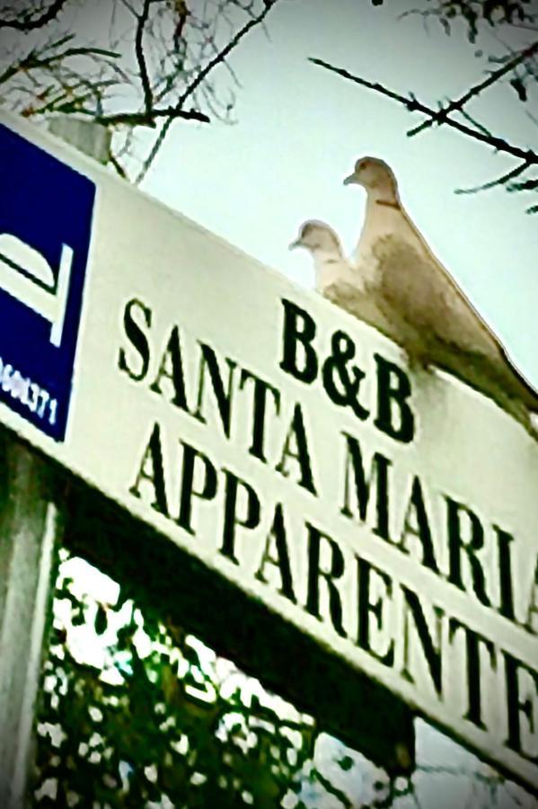 Monolocali B&B Santa Maria Apparente Civitanova Marche Luaran gambar