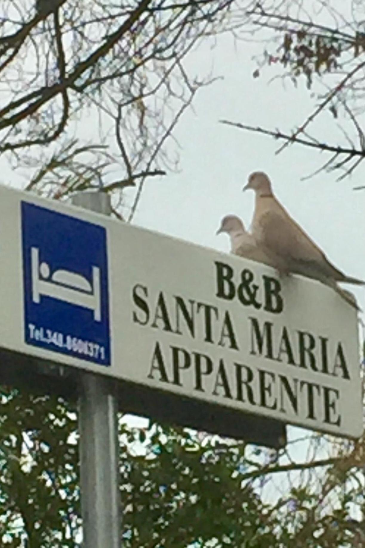 Monolocali B&B Santa Maria Apparente Civitanova Marche Luaran gambar